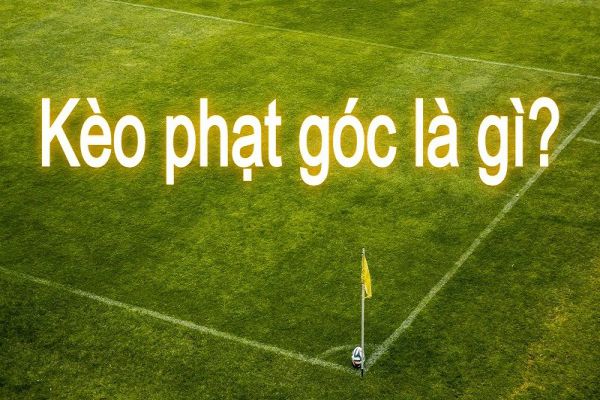 hướng dẫn bắt kèo phạt góc tài xỉu