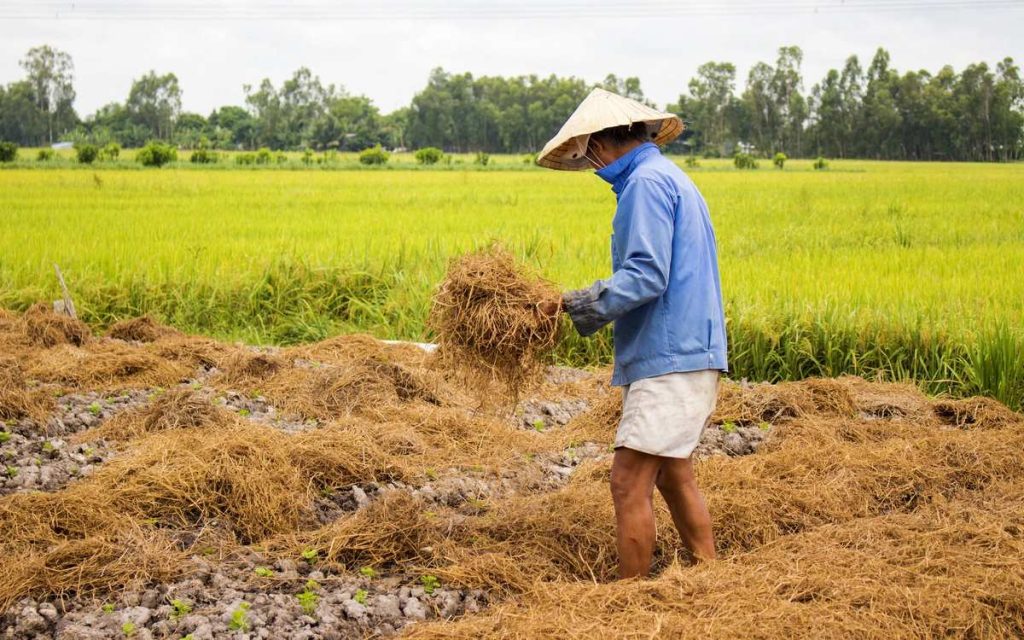 Các trường hợp nằm mơ thấy bố đánh gì dễ trúng?